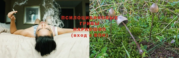 a pvp Алзамай