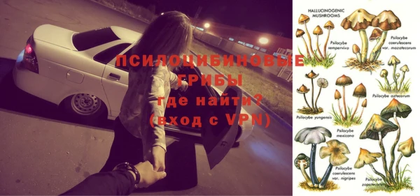 spice Аркадак