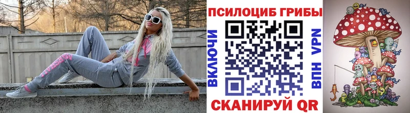 Галлюциногенные грибы Psilocybine cubensis  купить   Волгодонск 
