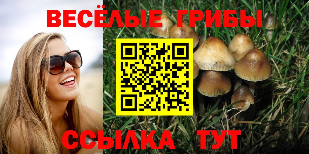 Псилоцибиновые грибы мухоморы Волгодонск