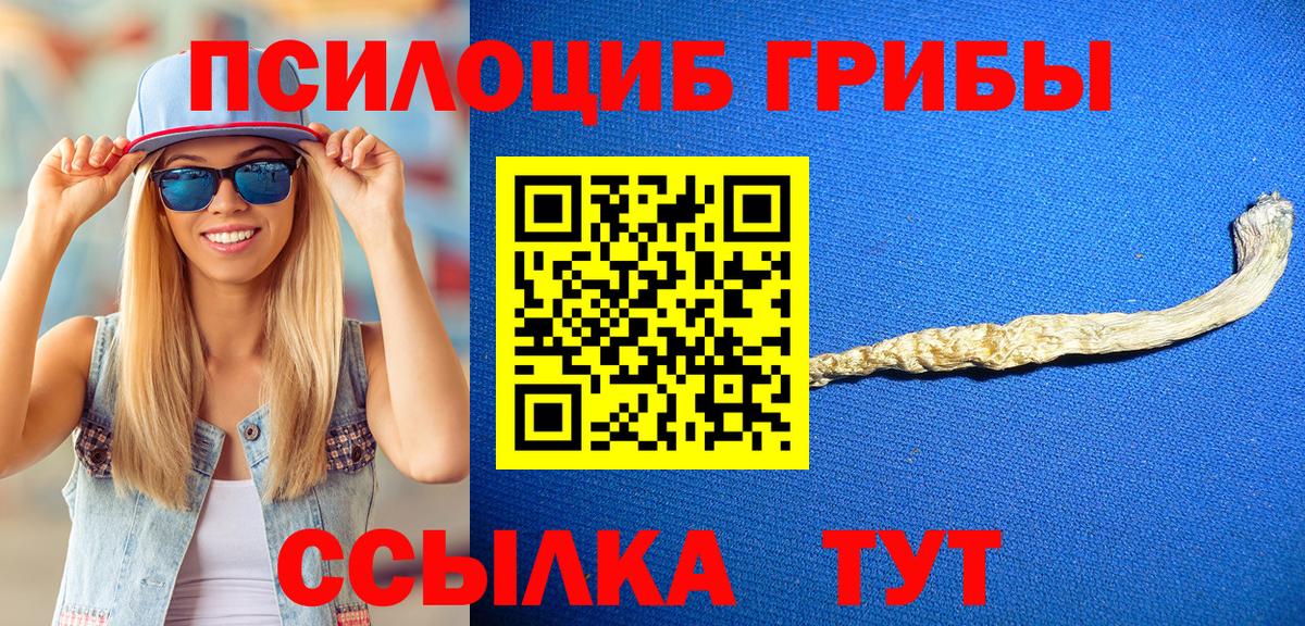 Галлюциногенные грибы мухоморы  Вход с VPN  где можно купить наркотик  Псилоцибиновые грибы мицелий  Волгодонск 